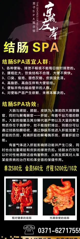 spa展架图片cdr矢量模版下载