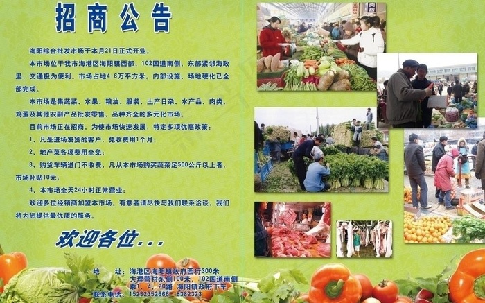 蔬菜批发市场招商图片(5031X3437(DPI:300))psd模版下载