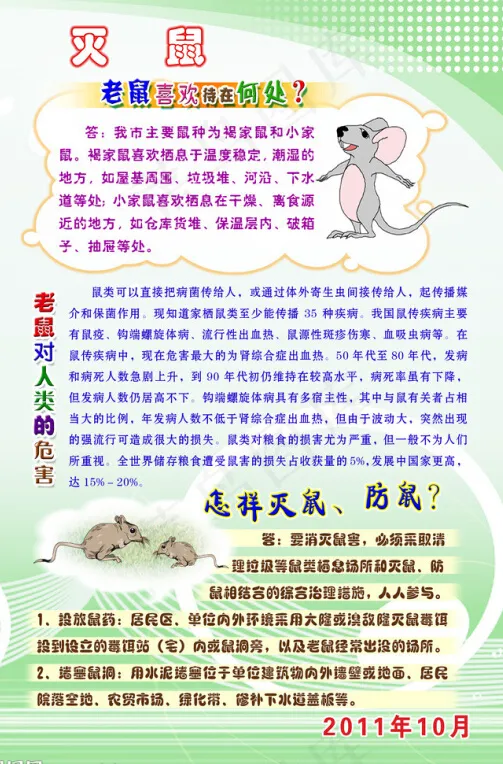 灭鼠安全知识宣传psd模版下载