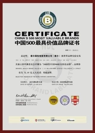 德尔地板 2009中国品牌500强...