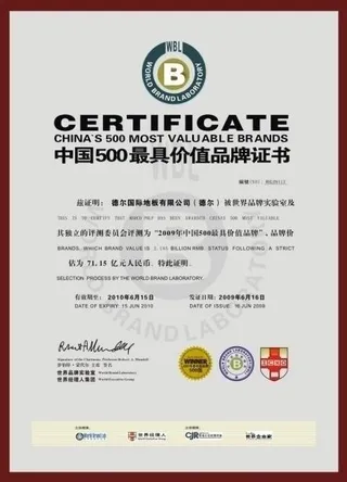 德尔地板 2009中国品牌500强...