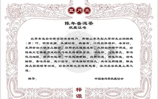 蓝月亮陈年普洱茶说明书