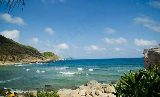 大海 热带植物 三亚图片