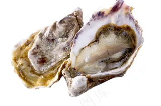 牡蛎免抠素材PSD分层