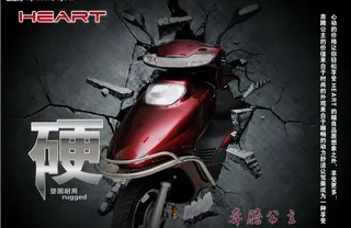 心艺电动车图片