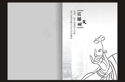 震撼发现书籍封面图片