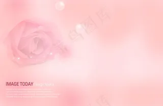 红色背景粉红背景