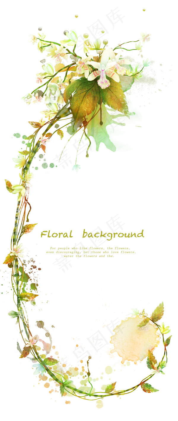 花卉植物藤蔓装饰背景