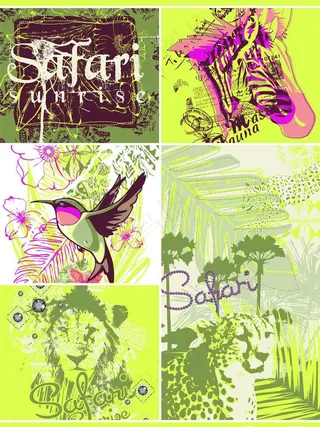 服装印花书籍图片