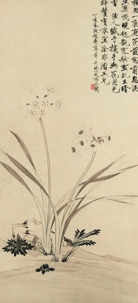 水仙图片