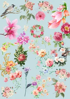 手绘花鸟psd分层素材