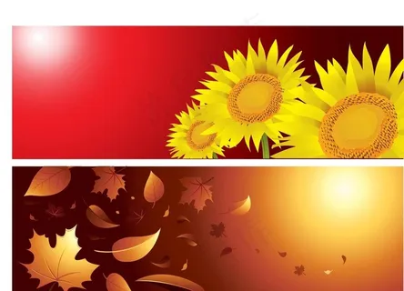 向日葵 枫叶背景图片