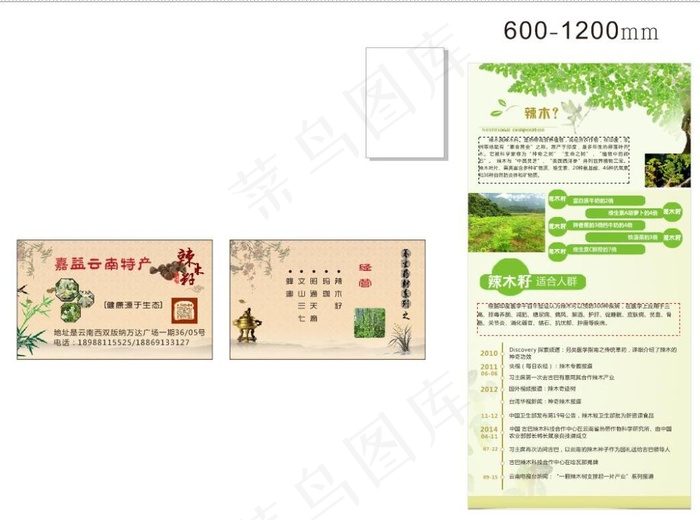辣木仔 绿色 名片 海报