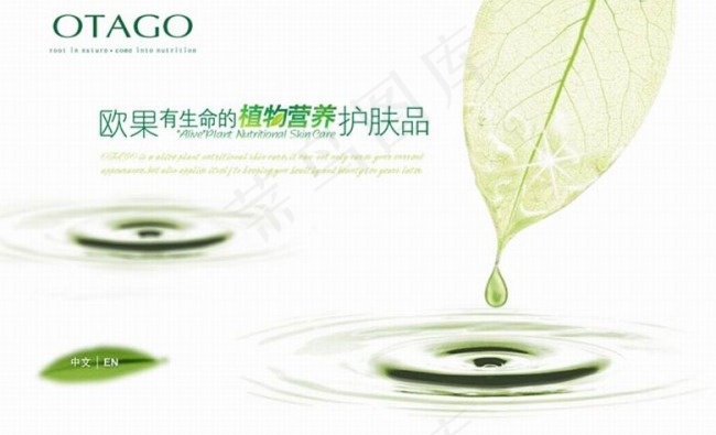 水滴片头