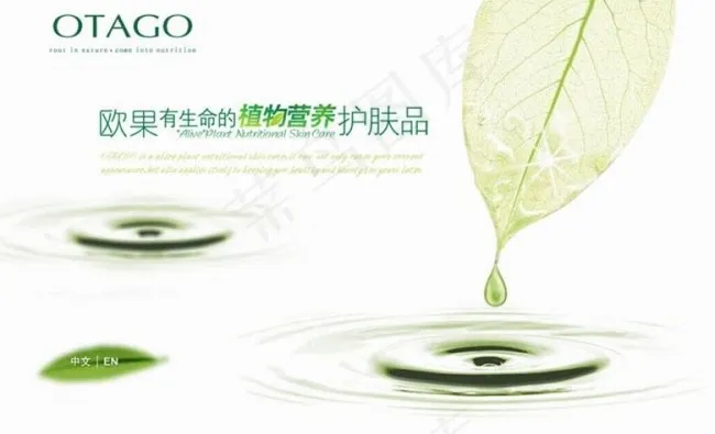 水滴片头