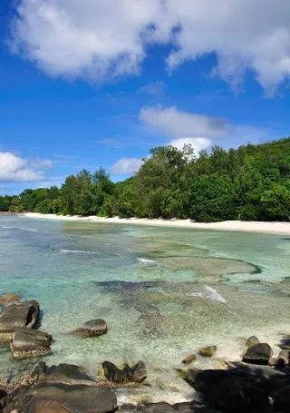 塞舌尔沙滩图片