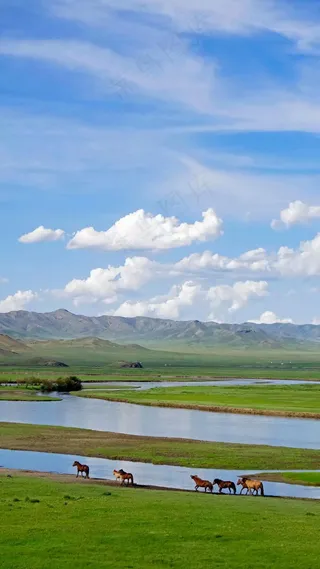 草原上的马高清摄影图片