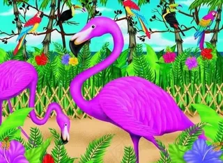 美国夏威夷款图片