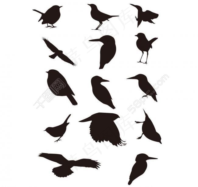 鸟剪影图片