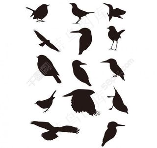 鸟剪影图片