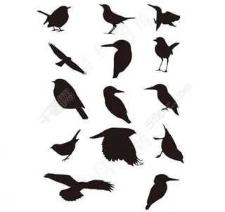 鸟剪影图片