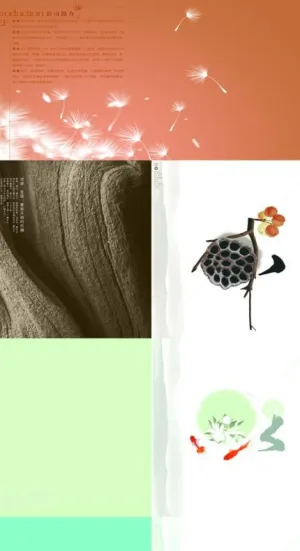 艺术画册图片