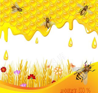 蜜蜂蜂蜜图片