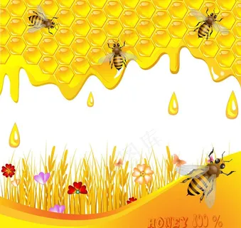 蜜蜂蜂蜜图片 蜜蜂蜂蜜图片