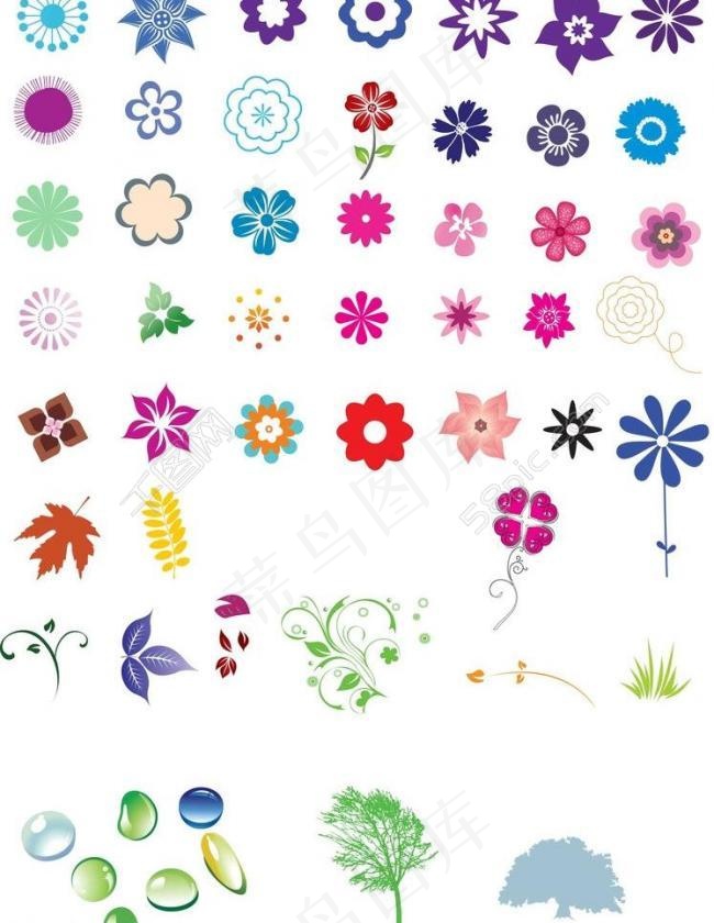 花 叶子 树 水滴图片