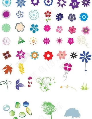 花 叶子 树 水滴图片