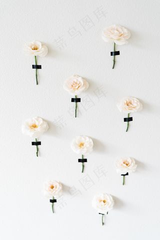 简约小清新文艺风插花静物摆拍背景