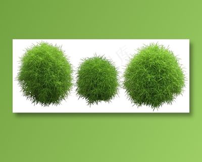 高清免抠植物扫帚菜