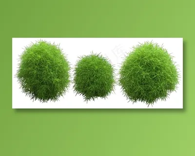 高清免抠植物扫帚菜