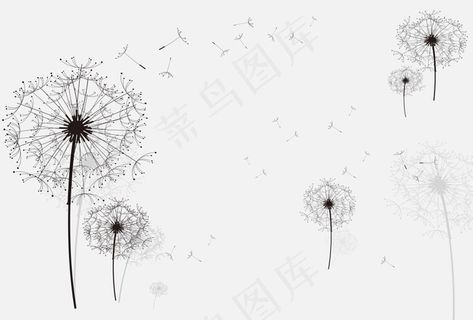 蒲公英背景墙3