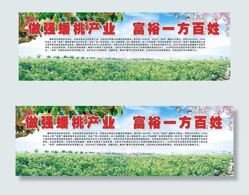 蟠桃果园生产基地总效果图图片