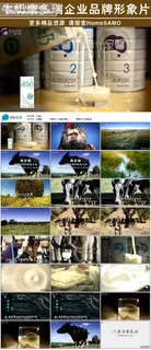 奶牛牧场牛奶奶粉生产企业品牌形象片...