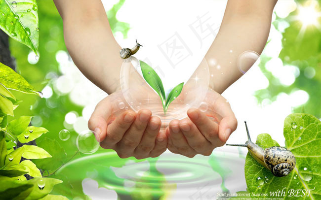 绿色生态海报PSD分层素材