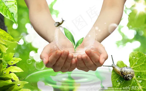 绿色生态海报PSD分层素材