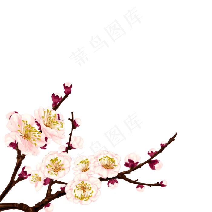卡通杏花植物图片海报素材