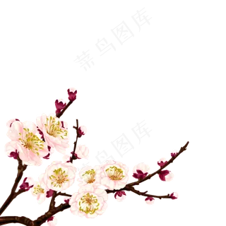 卡通杏花植物图片海报素材