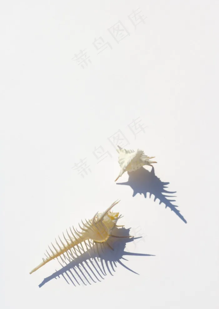 小清新图片