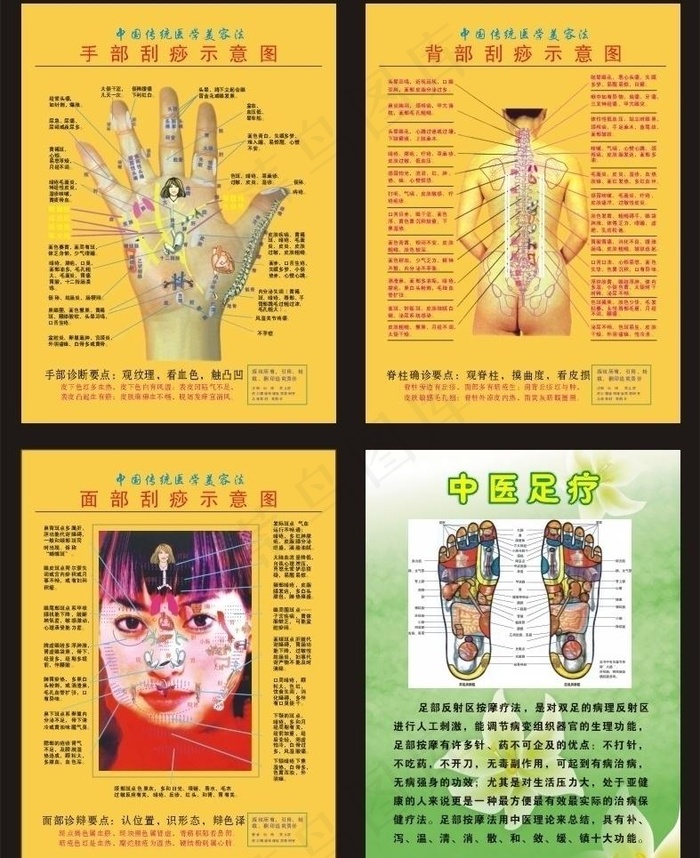 刮痧示意图图片