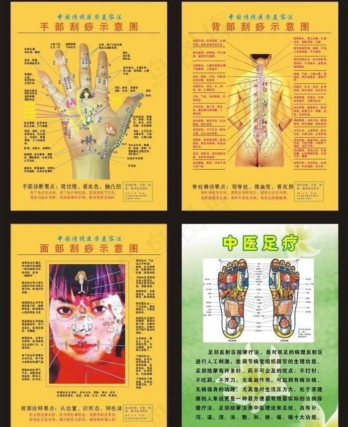刮痧示意图图片cdr矢量模版下载