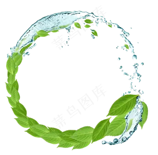 绿色叶子圆圈