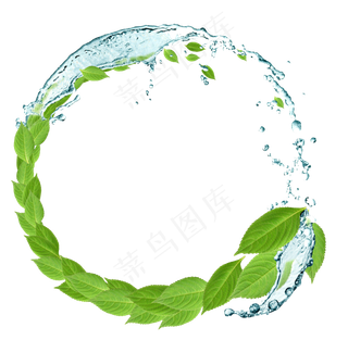 绿色叶子圆圈