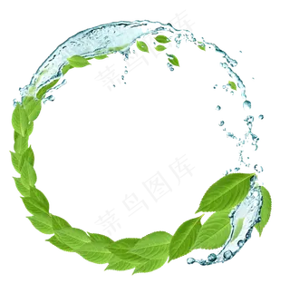 绿色叶子圆圈