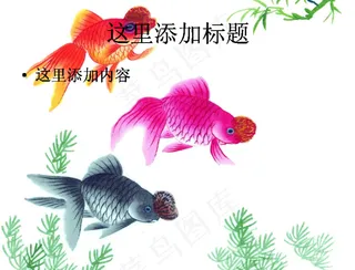 中国风水墨画鱼PPT精选(6)