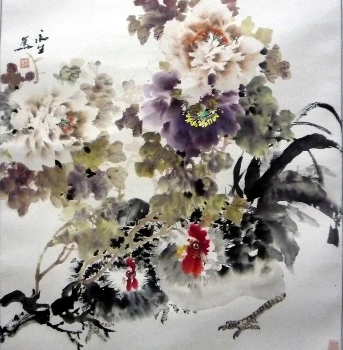牡丹图片