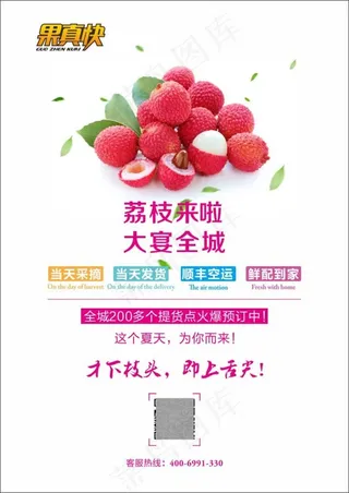 荔枝海报 水果海报 创意海报 清新海报