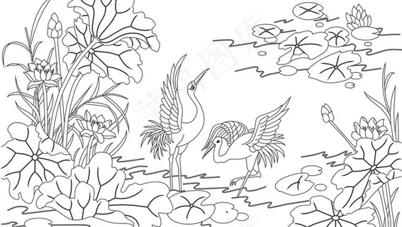 荷花 鹤图片 荷花 鹤图片